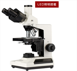 Kính hiển vi sinh học Wraymer BX-3500TL